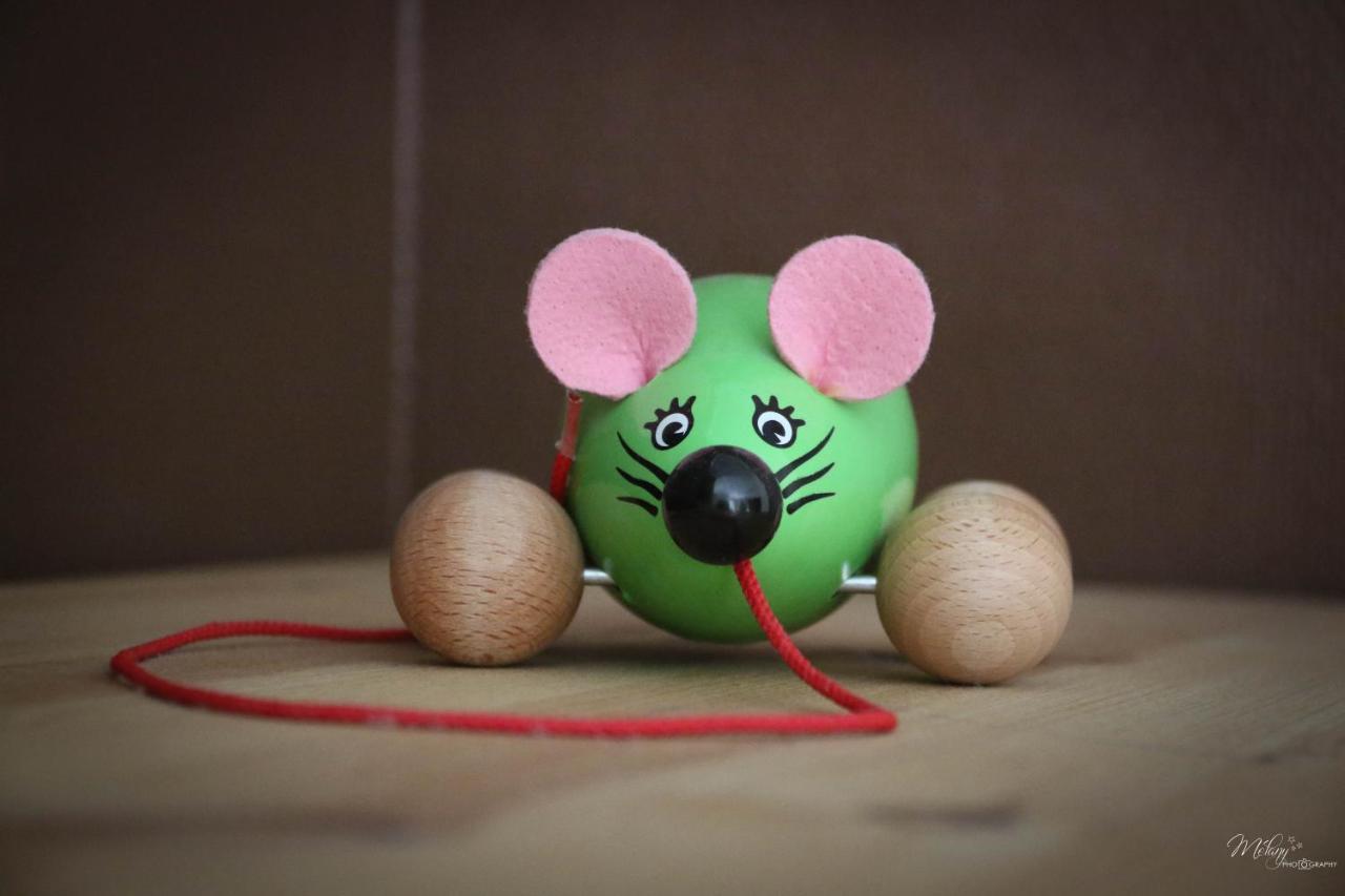 Gite De La Souris Verte Molamboz 외부 사진